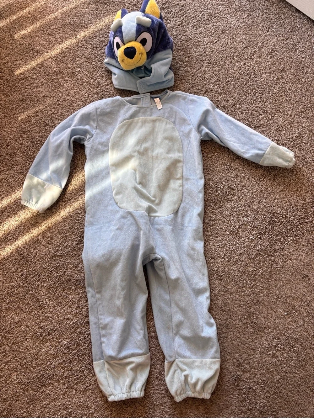 Bluey Kids Halloween Costume- Bluey girls size 4-6, 2 piece body and head